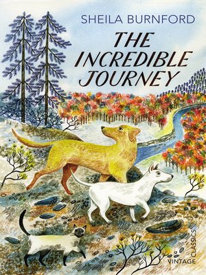 cover image of The Incredible Journey